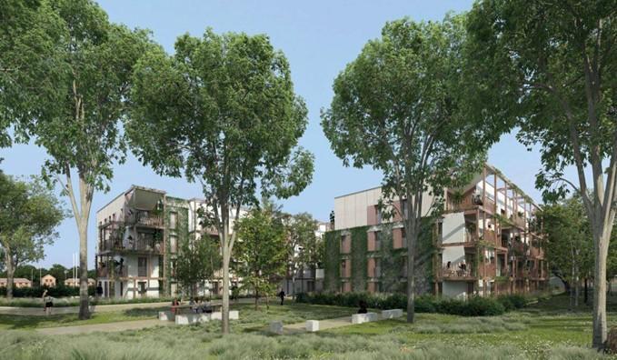 bnu
